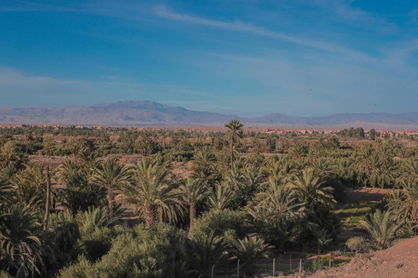 Palm View Palace Ouarzazate Esterno foto