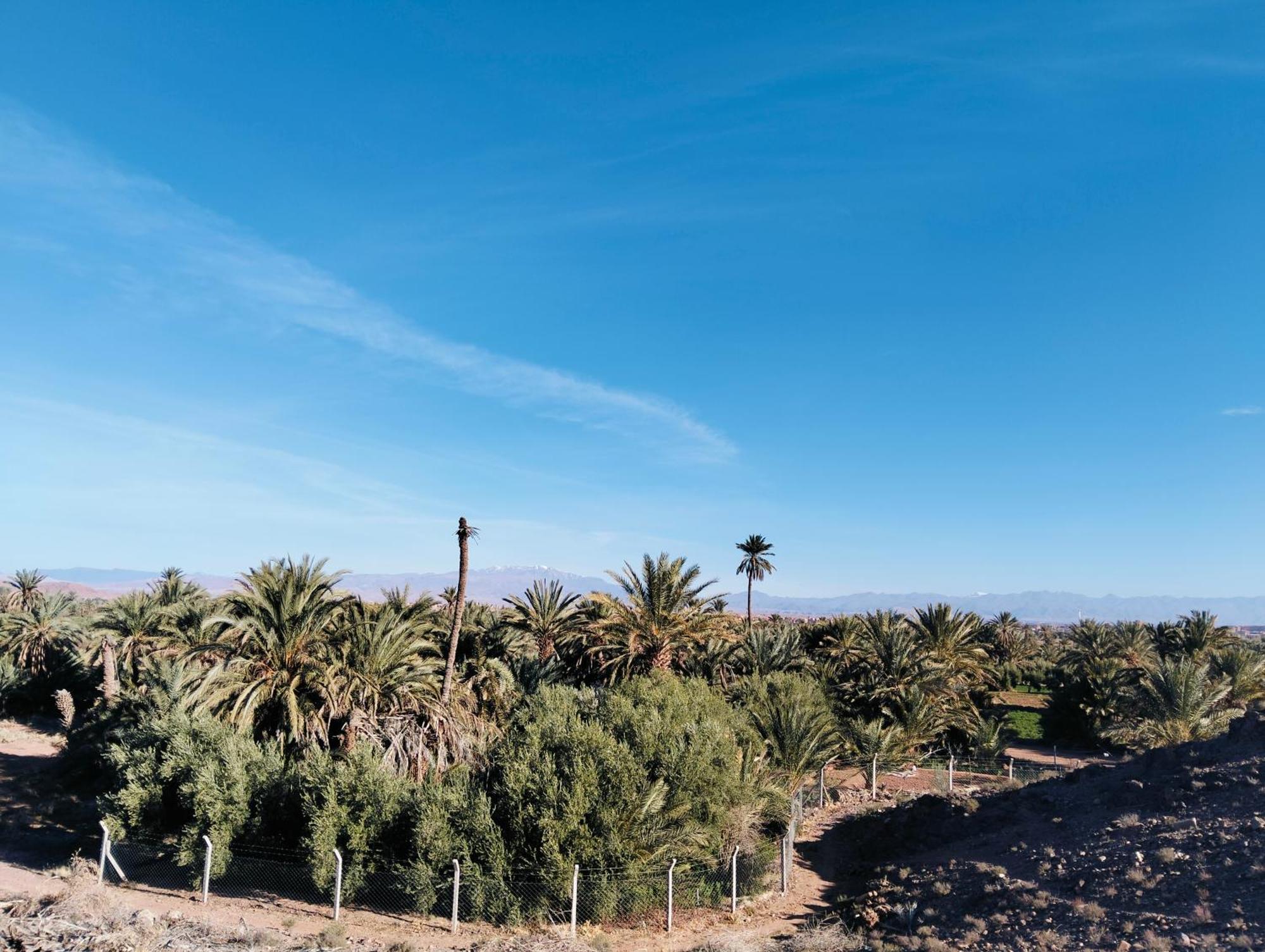 Palm View Palace Ouarzazate Camera foto